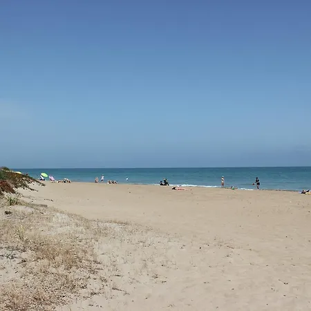 El Faro 21 *